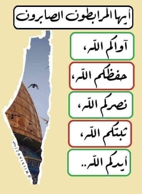 Younus1977's tweet photo. @aysardm https://t.co/xCHxnj6c66