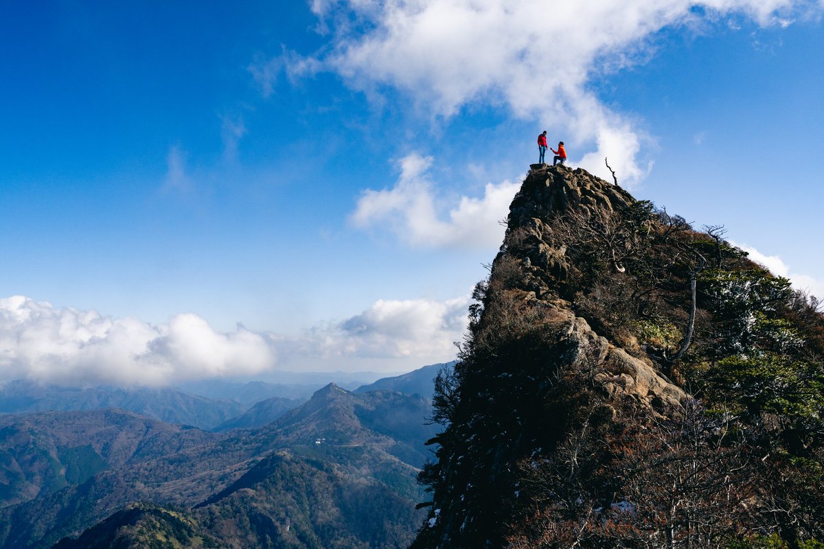 Natalie Berry tweet media