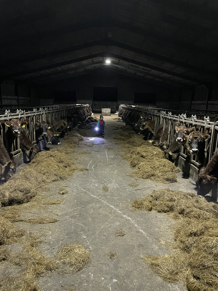 Stuart Graham tweet media