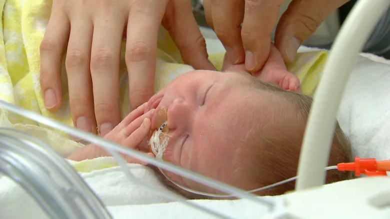 Michael Narvey 🇨🇦 tweet media