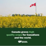 Photo by Advancing Agriculture (@AdvancingAgCA)