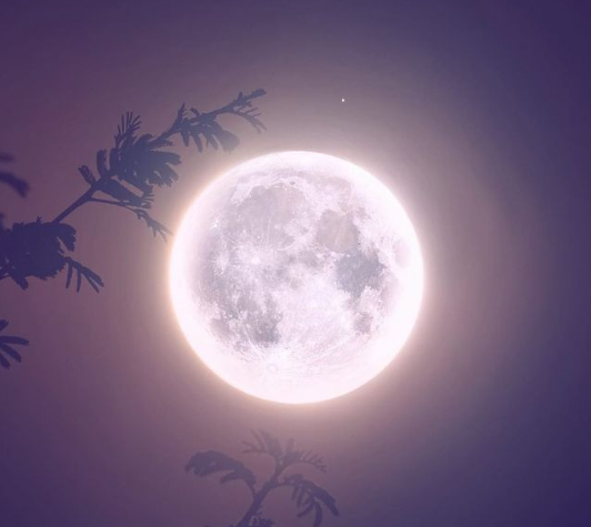 Cheli_Smith's tweet image. 🖤 🤍♥️ 💚 💛 💙☥🐍 🐸 👑 🌌
#FridayFaith ☥
#CelestialAlignment  #✨🌌 🌎
#fullmooncancer♋ 
#iamamoonleo #Midheaven ♌
 ♋♐#iamupitercancer #exalted

Our sense of purpose  ambition is a driving force 
ascents essence 
gives meaning to our days

@Cheli_Smith    #actressmodel