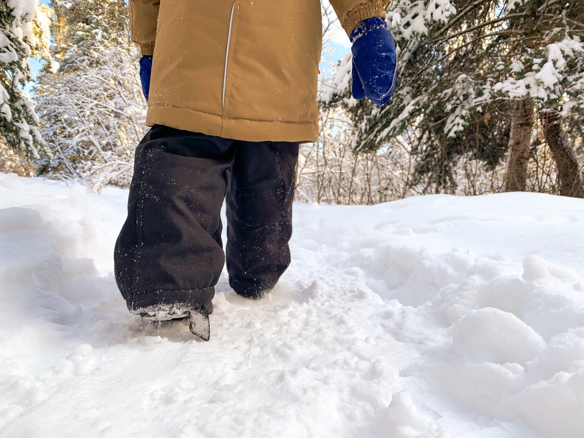 A First Day Hike is a fun and healthy way to kick off the New Year. As you travel a trail, you’ll see and hear nature all around you and feel great spending time in the fresh air. 

We invite you to take a self-guided hike January 1st and post your pictures here!
#firstdayhike