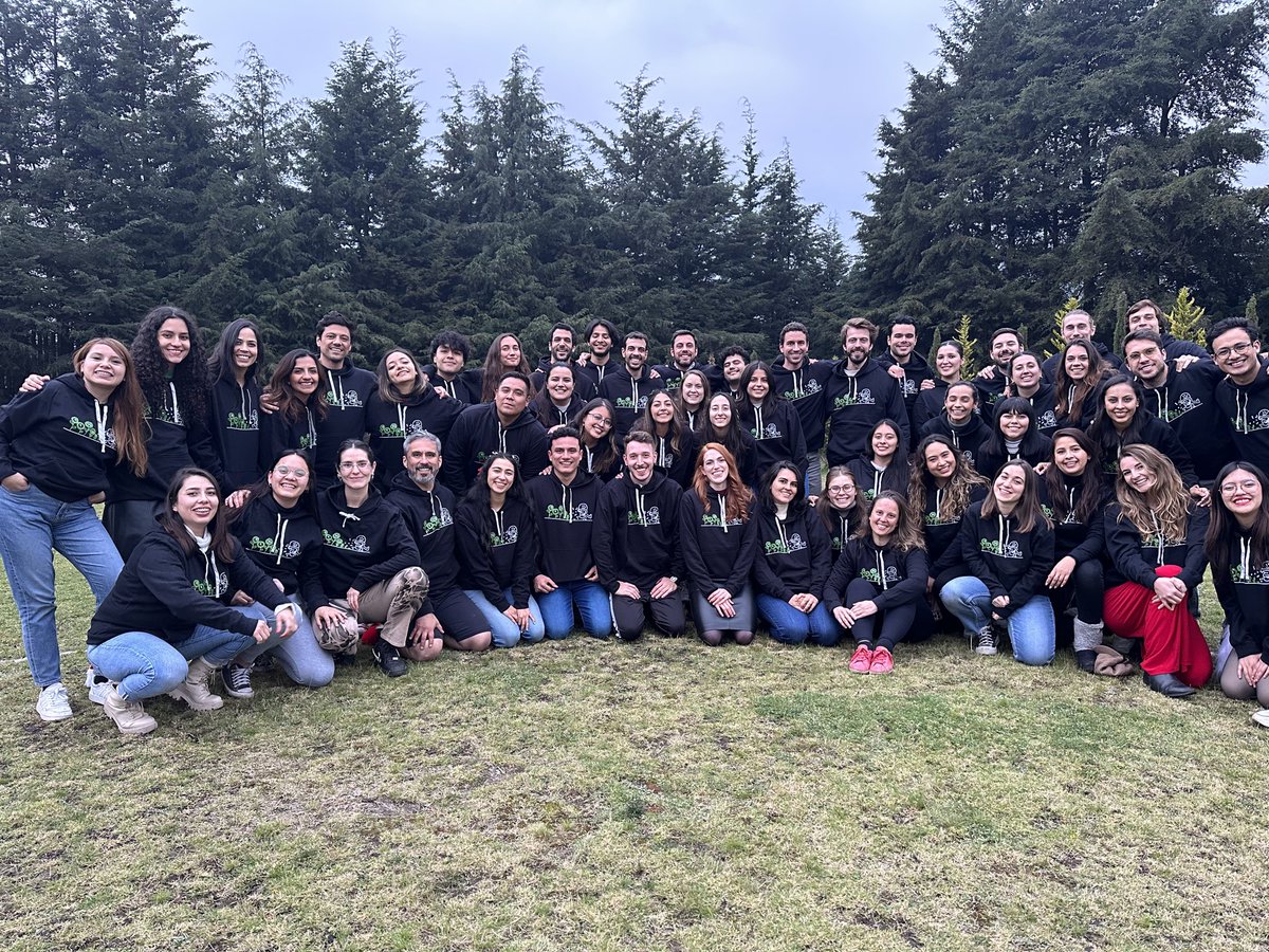 innovamat_cat's tweet photo. Tot l’equip d’Innovamat us desitja unes molt bones festes i un feliç 2024! ✨ https://t.co/JT5RKu3PBI