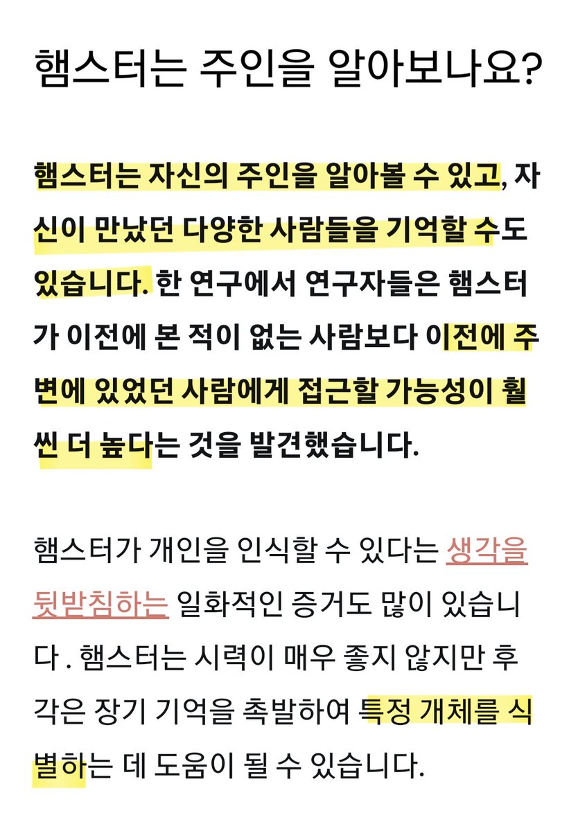 sad5min's tweet photo. 햄스터는 초음파로 소통한다! 
그래서 겉보기엔 과묵해 보이지만 사실은 친한인간에게 말을 걸고 있을지도 모른다.. (귀여워!!) https://t.co/5g1MFWLZiM