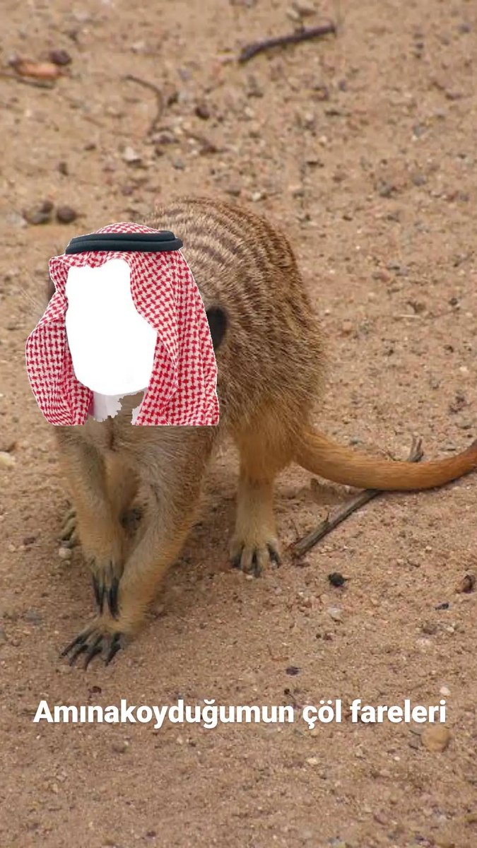 Çöl fareleri #السوبر_التركي