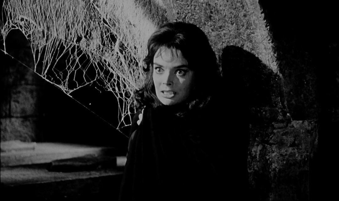 Barbara Steele in Black Sunday (Mario Bava, 1960)  

#BarbaraSteele #BlackSunday