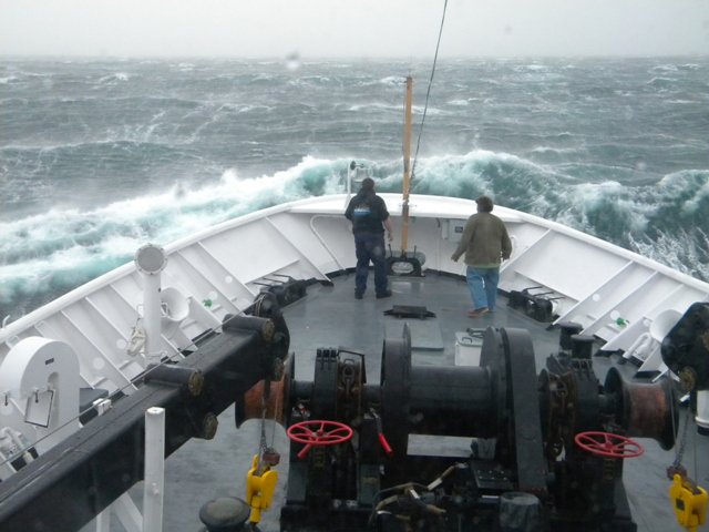 Without downloading any new pics, what’s your energy going into 2024