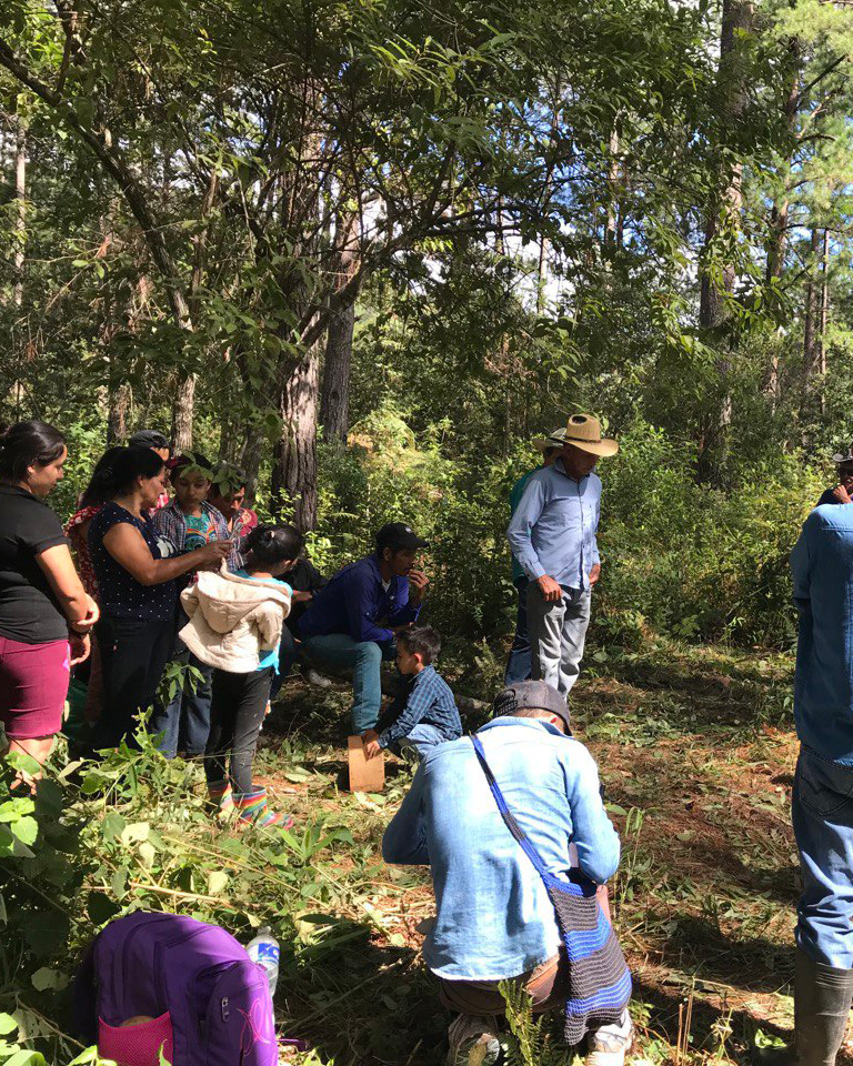 COPINHHONDURAS's tweet photo. 🌿Para finalizar el año, en #MontañaVerde realizamos una compostura a la tierra, como agradecimiento por su protección a las comunidades #lencas. https://t.co/IGTF1No26e