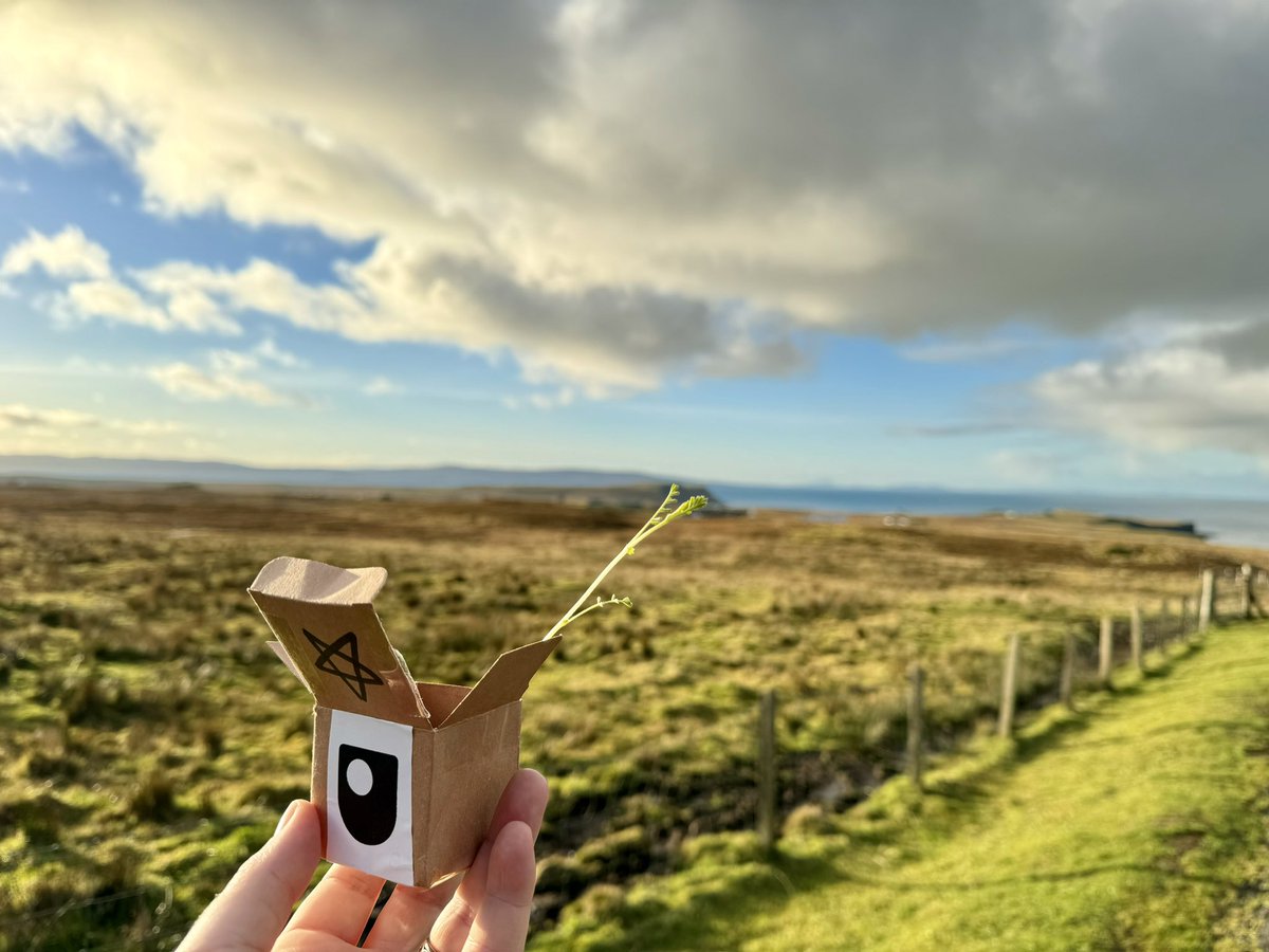 Dr Meganne Christian (@astro_meganne) on Twitter photo Our #PlantyMoonPlantface experiment from #OUMoonNight & <a href="/OU_STEM/">Faculty of STEM, The Open University</a> has been going on an adventure across Scotland 🏴 for Christmas and Hogmanay! Here she is, visiting the #Skye Skye Museum of Island Life.
Experiment details: docs.google.com/forms/u/0/d/e/… Our #PlantyMoonPlantface experiment from #OUMoonNight & <a href="/OU_STEM/">Faculty of STEM, The Open University</a> has been going on an adventure across Scotland 🏴 for Christmas and Hogmanay! Here she is, visiting the #Skye Skye Museum of Island Life.
Experiment details: docs.google.com/forms/u/0/d/e/…