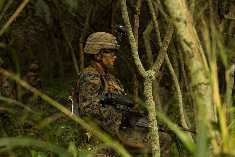 GenDischarge's tweet image. U.S. Marine Corps in Hawaii while completing an Advanced Infantry Marine Course (AIMC). #USMarines #MarineCorps #MarineTraining