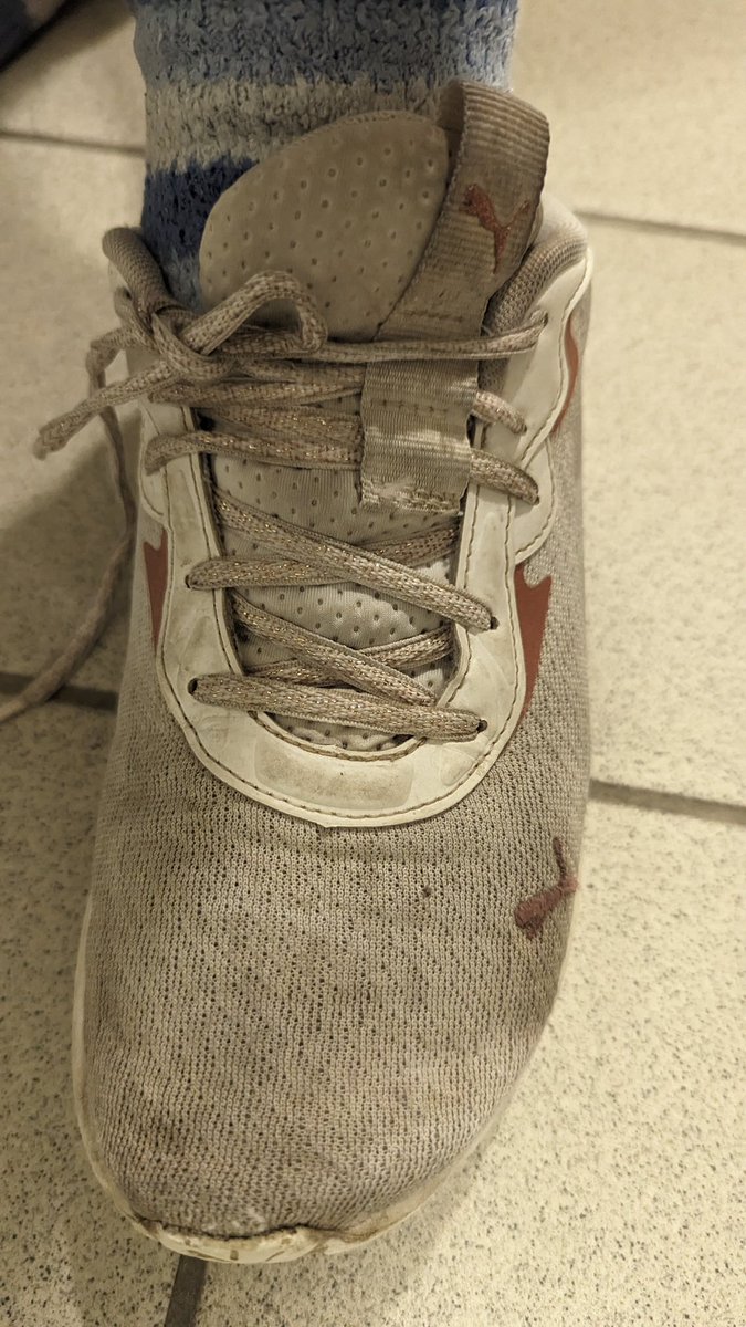 herrinJasy10206's tweet photo. Für meine schnüffler ganzen Tag in dieses Schuhen dieser Duft ist himmlisch 🤭
Ihr könnt nicht wieder stehen dieser Blick 😈
#herrin #goddess #loser #duft #schuhe , #duft #sub #extremduft https://t.co/60NwhIwJAx
