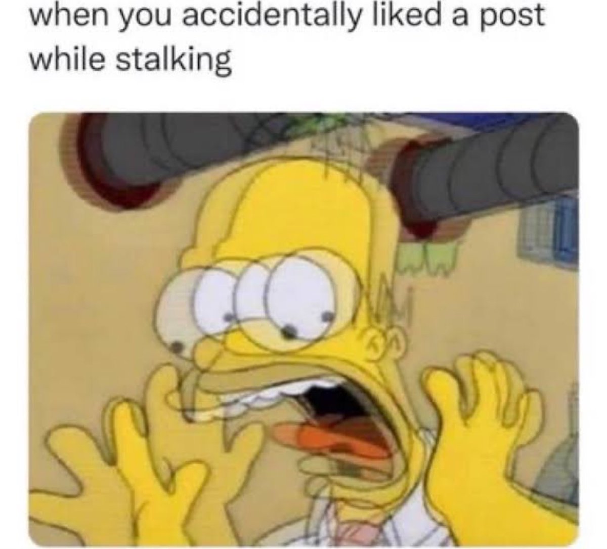 Out of Context Human Race (@nocontexthumans) on Twitter photo 