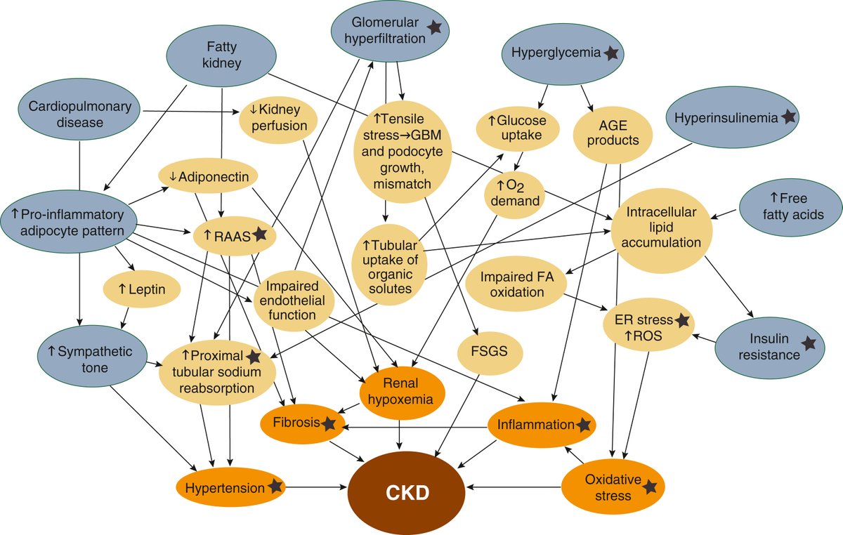 Kidney_Int's tweet photo. Anti-obesity pharmacotherapy in adults with chronic kidney disease
https://t.co/isclmSulhP
@IUMedSchool
#KIReview #CKD #obesity #inflammation https://t.co/a2Mmhr9CQ3