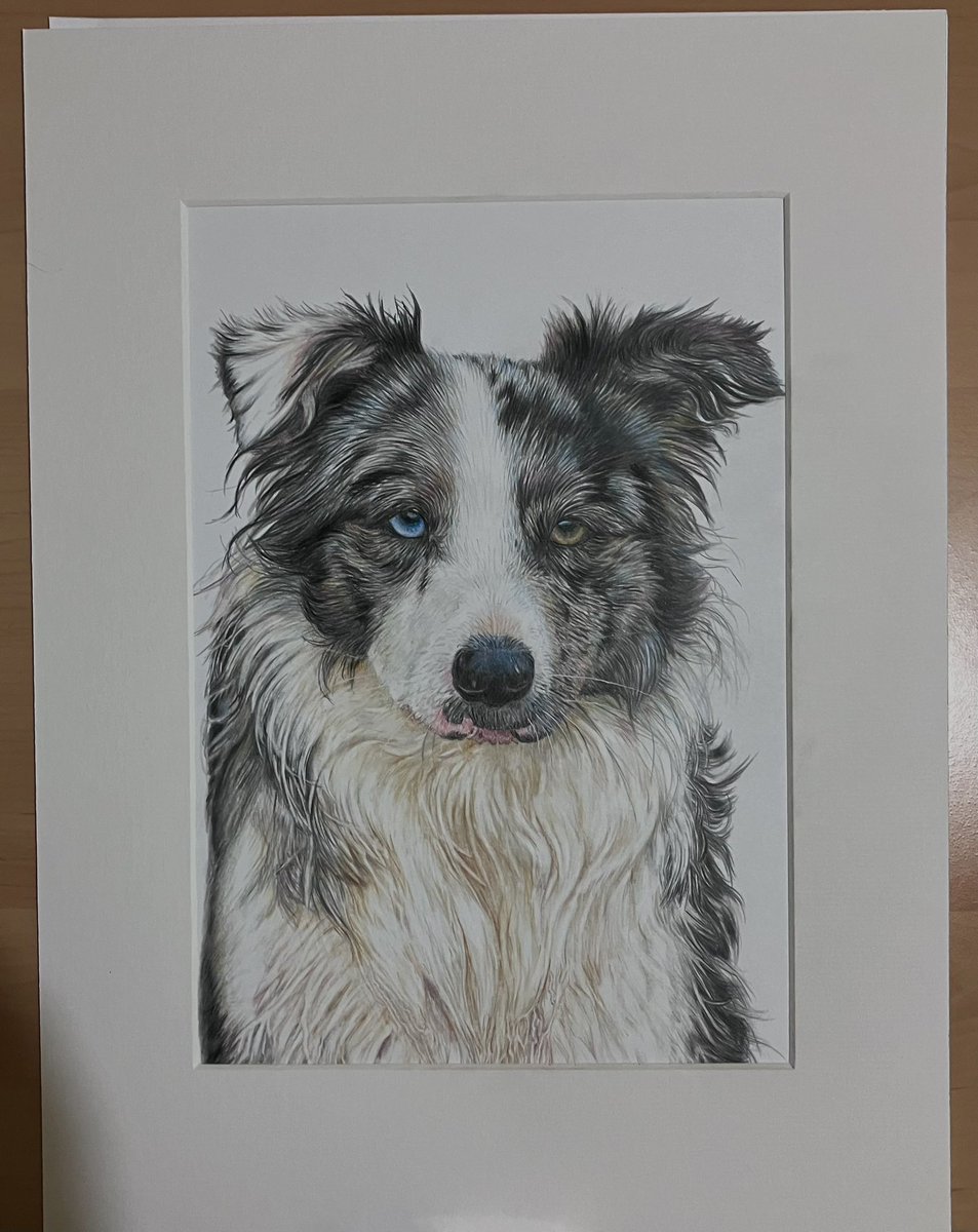 Lisa Wellwood Artist tweet media