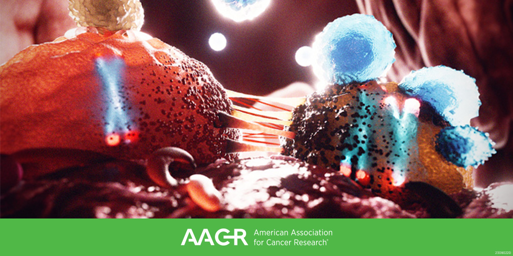 Immune Cell Context and Treatment Responses: @AmirHorowitz, Nina Bhardwaj, and Tahlita Zuiverloon will address this topic in a plenary at the AACR Special Conference on Bladder Cancer (May 17-20, Charlotte, NC). Learn more: bit.ly/3TIftYe #AACRbladder24 @BhardwajLab