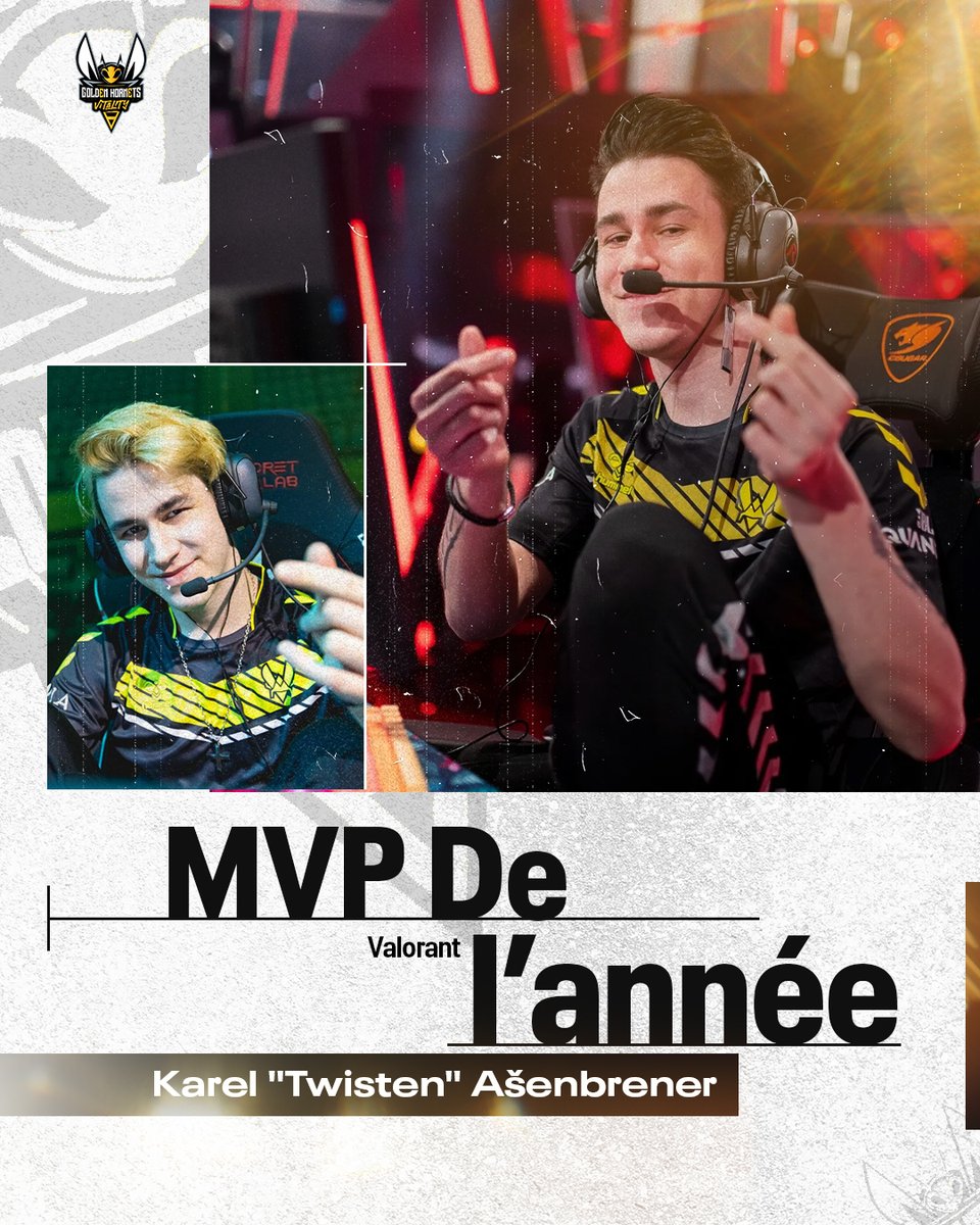 🐝 Golden Hornets 🐝 tweet media