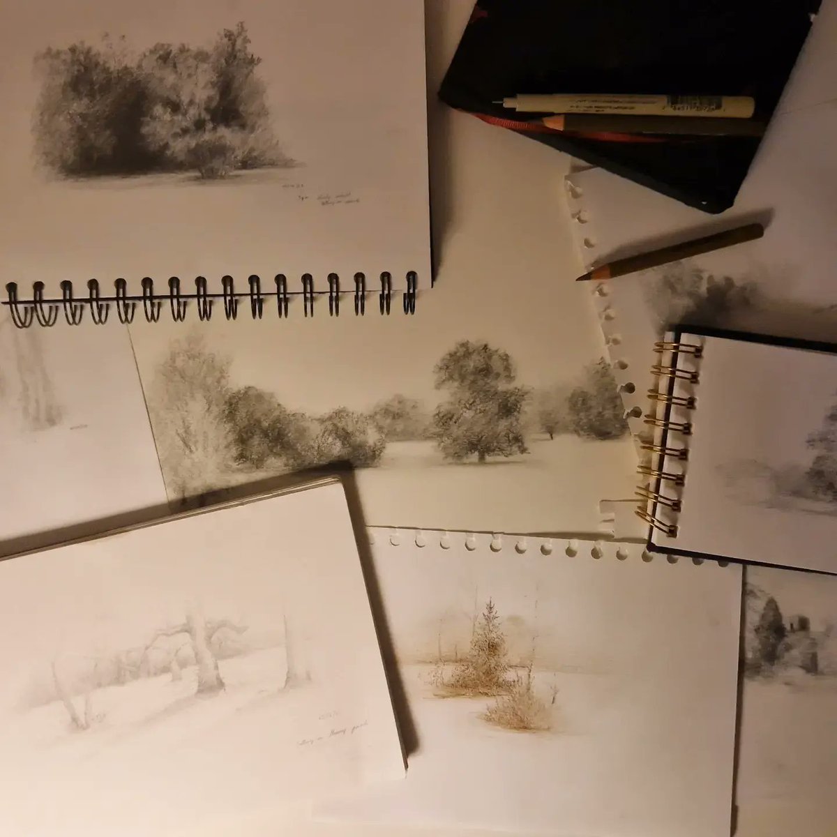 A few sketches from my #stneots Park visits. Listening to Einaudi, geese flying above, cold wind on my face and winter sun... I love drawing here.

#artist #landscape #drawing