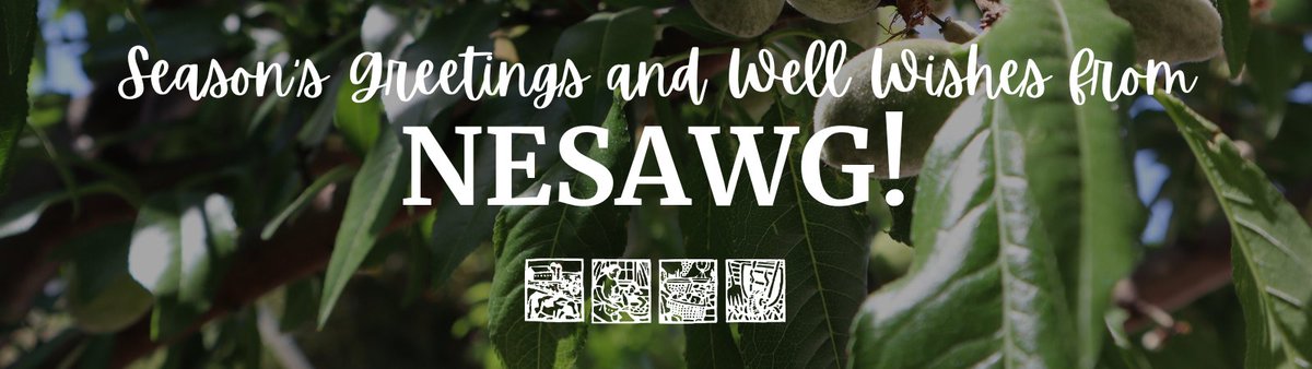 An End of Year Message from NESAWG - mailchi.mp/nesawg/potluck…