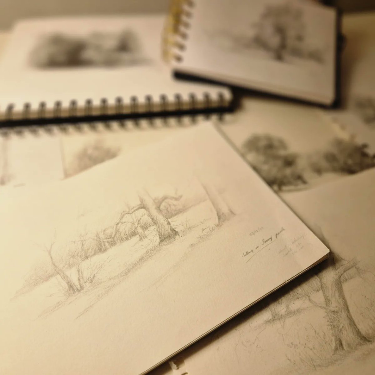 N_Denningart's tweet photo. #stneots Priory Park sketches. Such a beautiful place to sit, draw, and say hello to dogs 🐕 😊 

#landscape #drawing #artoftheday https://t.co/ShtMCSOOnB