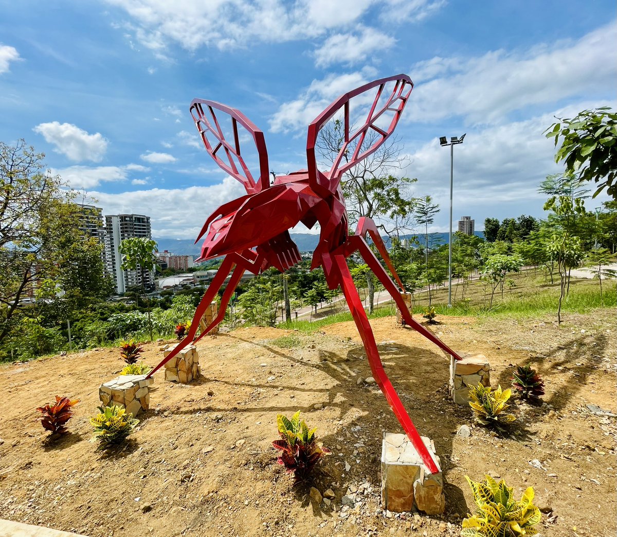🤩Esta es la nueva escultura que adorna a Bucaramanga desde el Parque Bosque Lagos del Cacique.🐜✨

📌La “Hormiga Arrecha” del maestro Juan José Cobos.🧑‍🎨