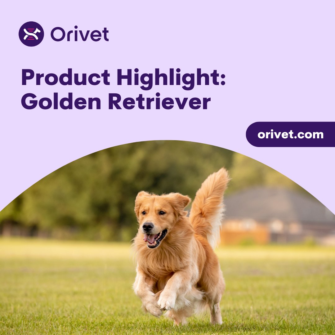 Orivet's Full Breed Profiles are breed specific genetic screens for diseases & traits that are relevant to each breed. Our panels have been scientifically validated (published) for the breed listed. Tap here to view the extensive list of FBPs we offer: bit.ly/3qqe1gw
