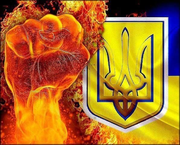 CatMan_Fella's tweet photo. Time for donor matching Fellas! Let’s help Max get an M113 for Azov! #FallFellas https://t.co/ggYqEOjwAr