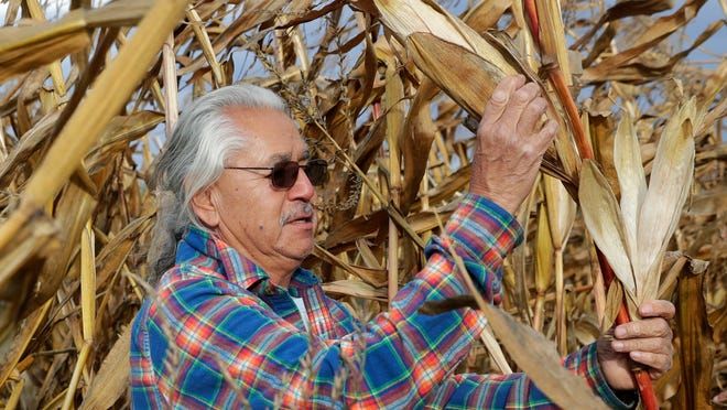 “When you have a relationship to the land, you’re creating a better environment,” 

Indigenous approach to agriculture could change our relationship to food and help the land in the process buff.ly/47pJb8i