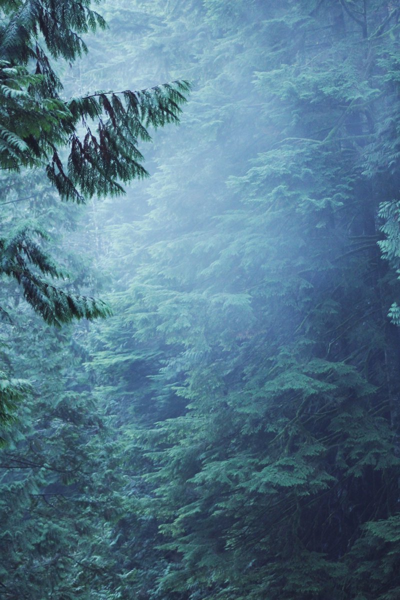 𝕰𝖑𝖊𝖒𝖒𝖎𝖗𝖊 tweet media