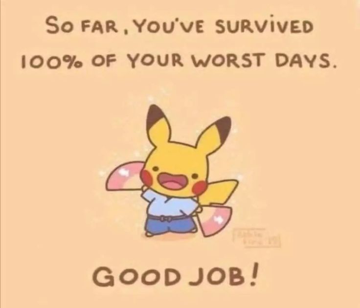 WholesomeMemes (@wholesomememe) on Twitter photo 