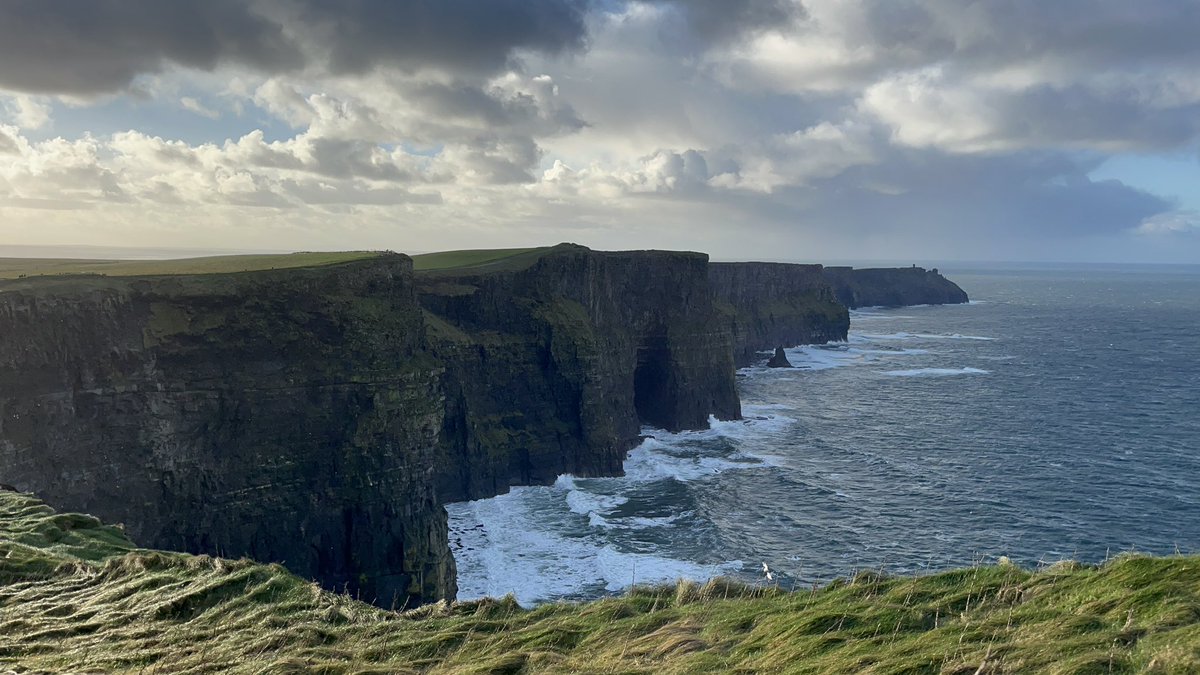 Doug Socha tweet media