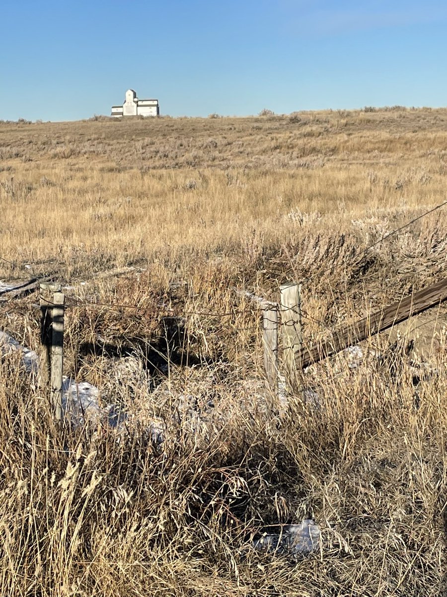 The saying “if you don’t like the weather, wait 5 min” has not rung true in #swSask. We have had weeks of blue skies, daytime temps above freezing &amp; best of all no wind!  Not complaining!