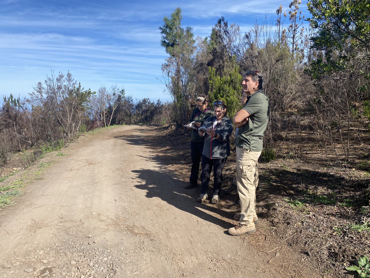 EntreSetas tweet media