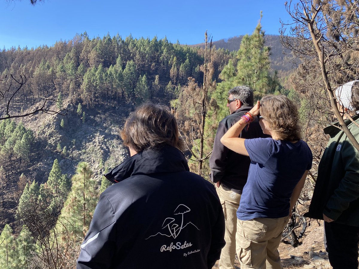 EntreSetas tweet media