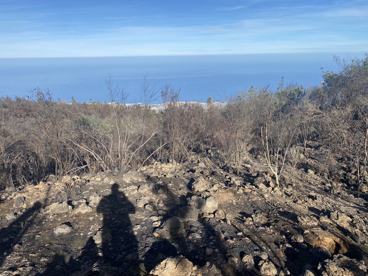 EntreSetas tweet media