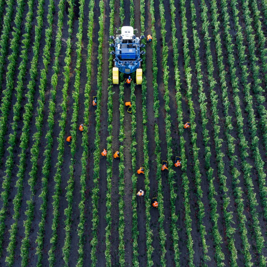 Our winemaking team had a wishlist, too. This year, they asked for a new Bobard and forklift to help with the 2024 harvest.