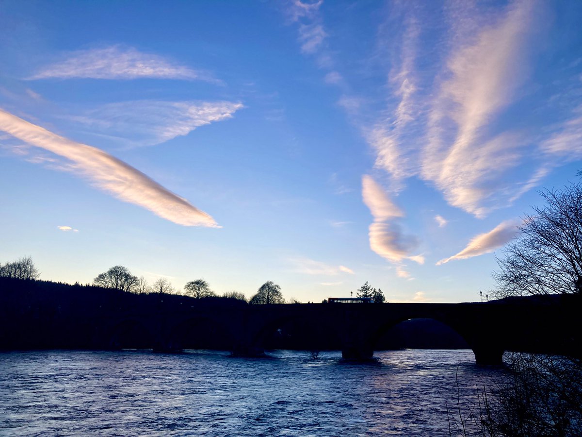 beattiegee's tweet photo. A beautiful tree and sky day #Dunkeld #Birnam #BirnamHill https://t.co/aFvsTfkD9I
