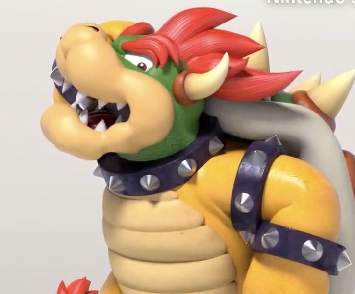 Bowser pictures to cheer you up (@Bowser_Pics) on Twitter photo 2023-12-29 20:14:03