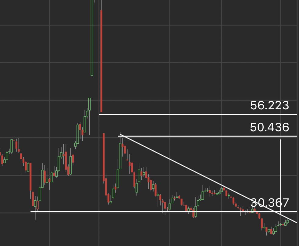𝒲𝒶𝓁𝑒𝑒𝒹 𝐵𝒾𝓃 𝑀𝑜𝒽𝒶𝓂𝓂𝑒𝒹 (هدوء مختلف) tweet media