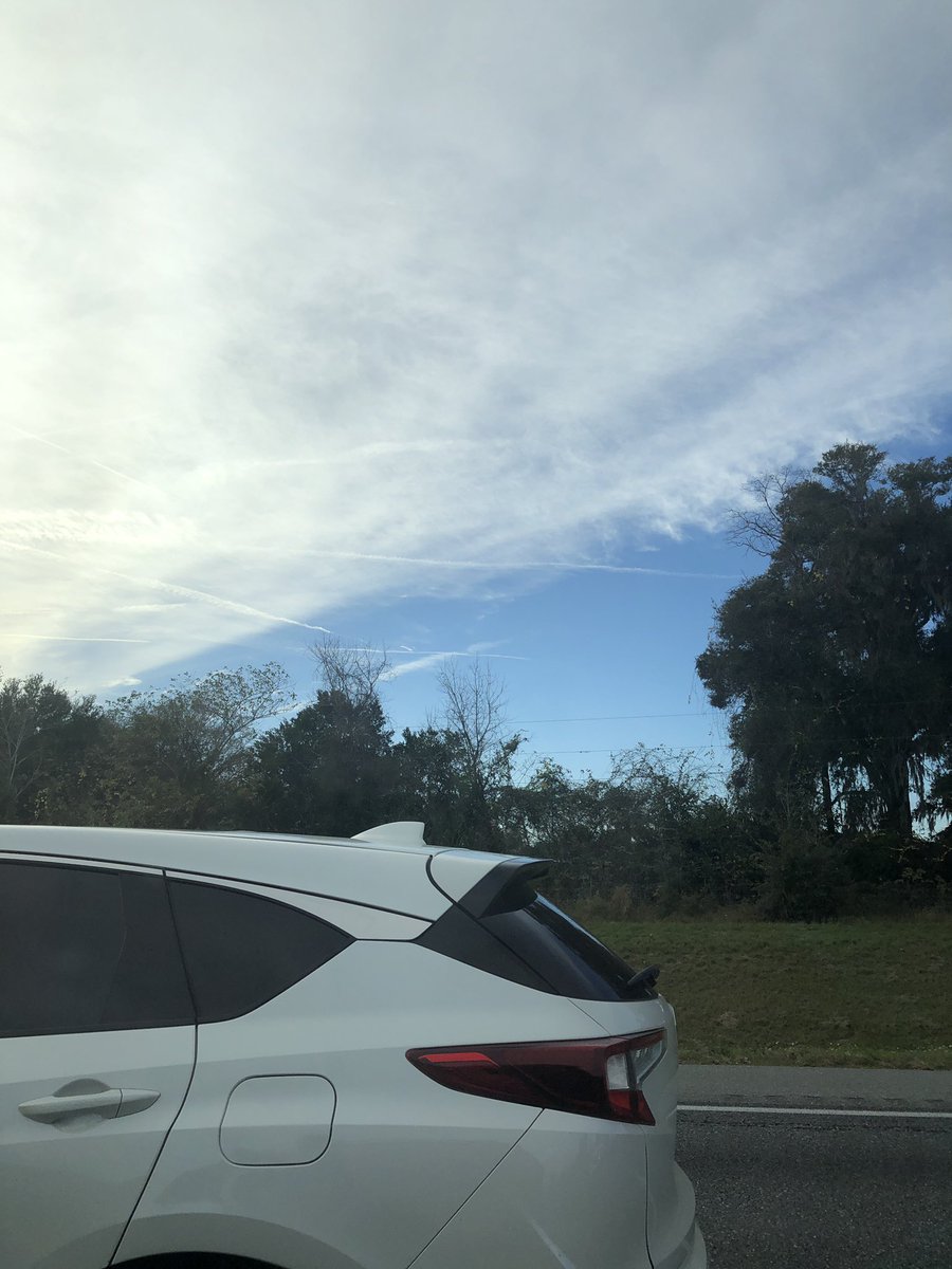 Sydney Landa 🍊 tweet media