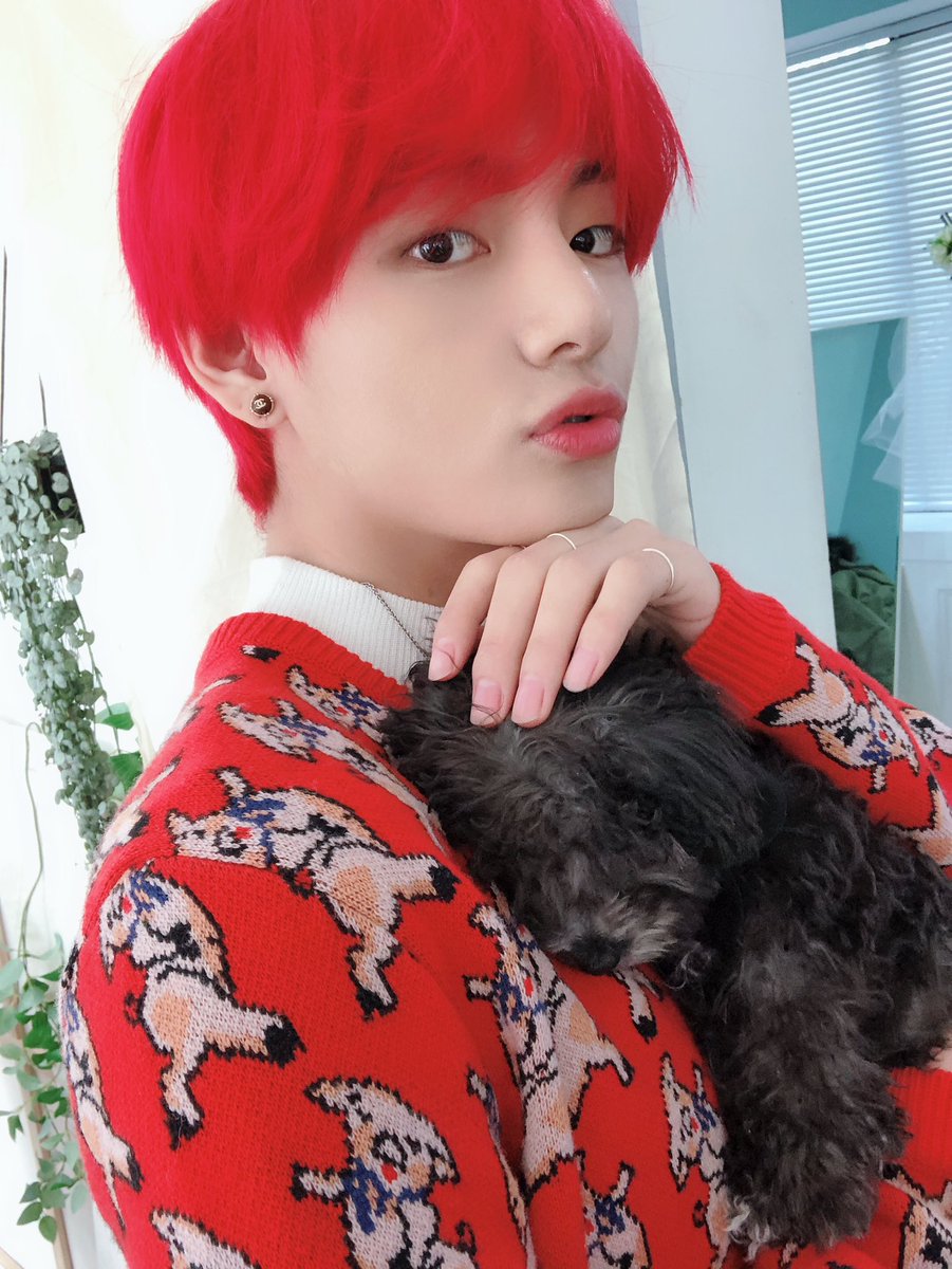 heartdrawcloser's tweet photo. happiest of birthdays to my winter bear!! i hope you're feeling loved today even though we are apart 💜💜 love you forever #OurWinterTreasureV #WillVWhereverUR #ForeverVOurBestFriend #HappyBirthdayTaehyung #HAPPYVDAY #해피태형데이_너에게충성 https://t.co/aJKQY1Nurb