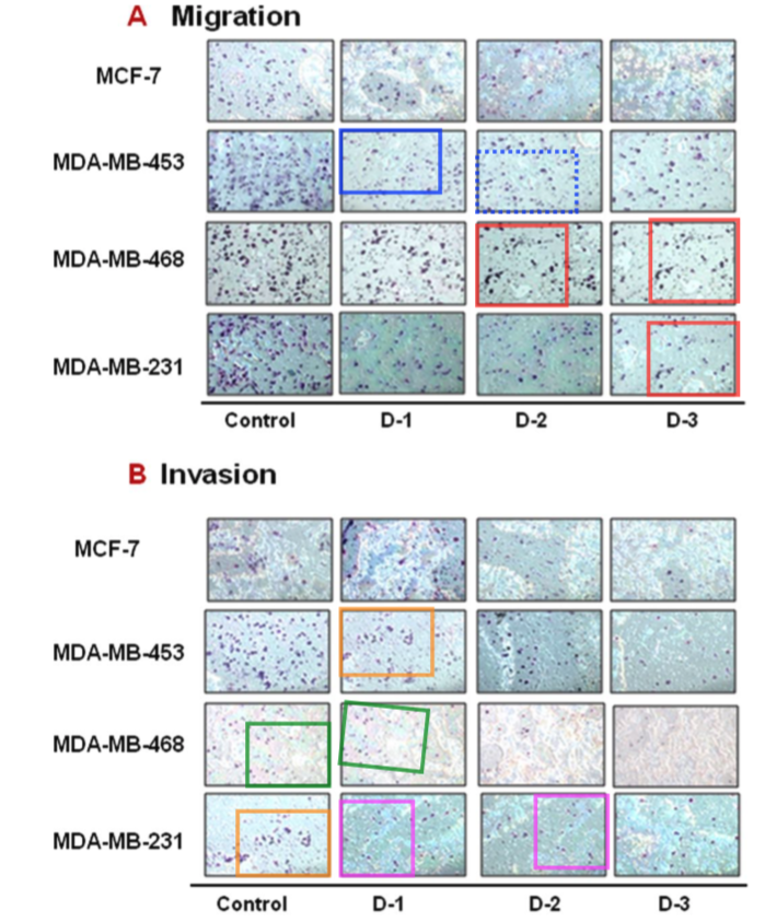 Thank you, <a href="/PLOSONE/">PLOS One</a> for retracting this paper. 
I reported these concerns in June 2014, so over 9 years ago. 
pubpeer.com/publications/C…
