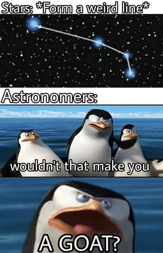 RespectfulMemes's tweet image. 