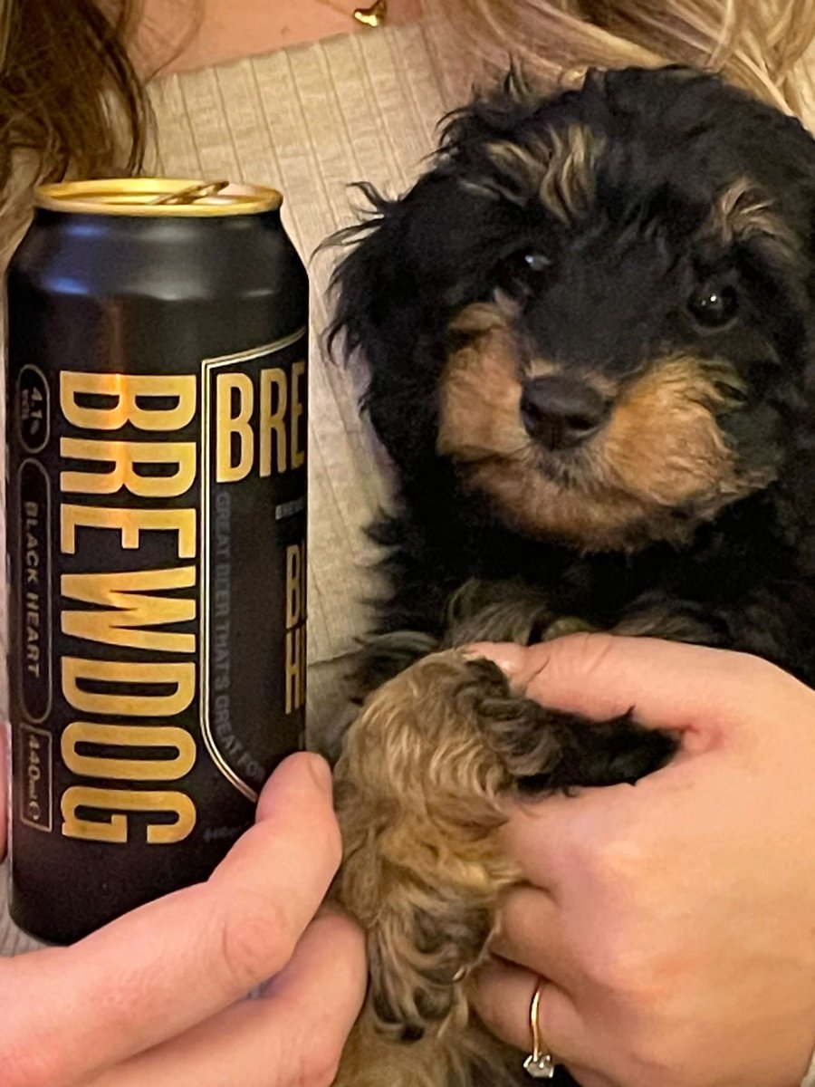 Here’s the brew, here’s the dog! <a href="/BrewDog/">BrewDog</a>