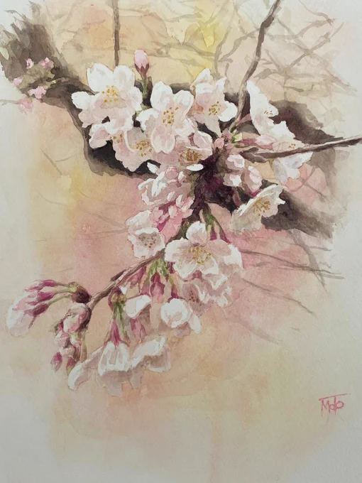 #これを見た人はあえて12月に桜の画像を貼れ 素敵なタグに便乗。水彩で描きました。