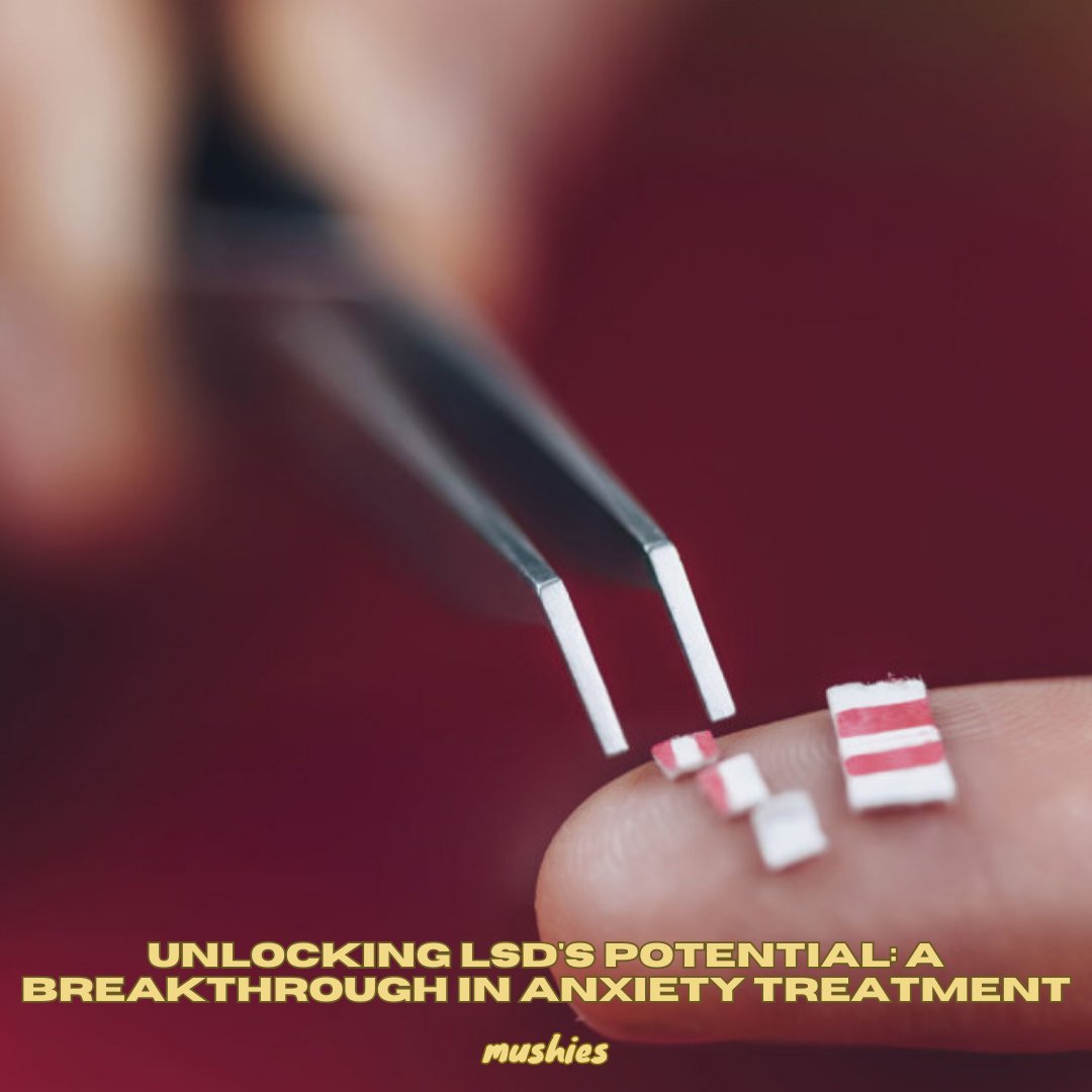 MushiesCanada's tweet photo. New study suggests repeated low doses of LSD may effectively reduce stress-related anxiety and depression symptoms. Promising findings highlight potential breakthrough in mental health treatment. ππββοΈ #LSDResearch #AnxietyRelief #mentalhealth https://t.co/zBERNaTa96