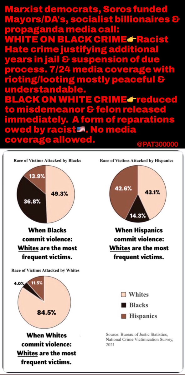 Pat300000's tweet photo. @CaliRN619 Welcome to Biden's &amp; Soros 🇺🇸. These thugs expect to be released on cashless bail while the elderly man with traumatic brain injury will live a life disrupted &amp; shortened by violence. 
Propaganda media &amp; BBC will never report on this. Doesn't fit the narrative of a racist 🇺🇸. https://t.co/dynaCyY0qe