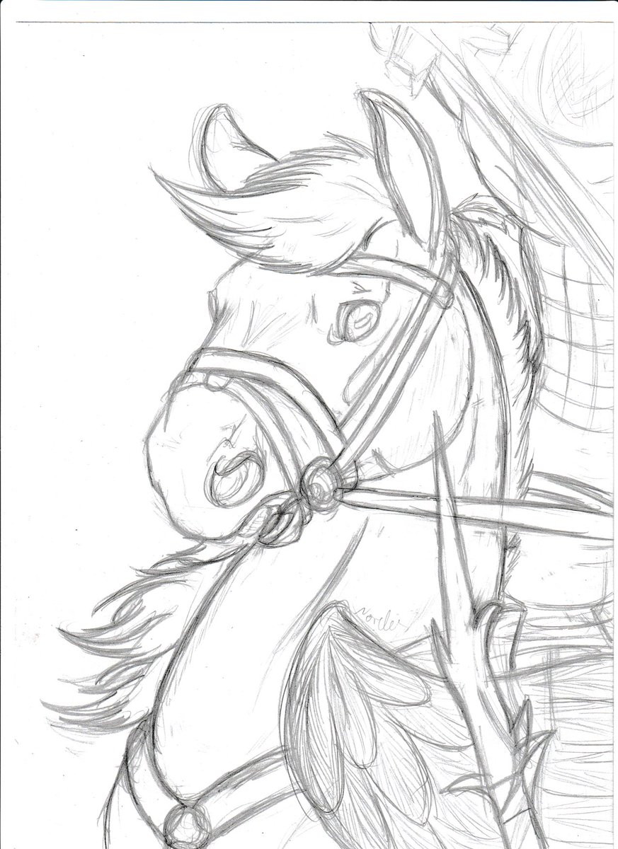 SilbernePegasus's tweet photo. another training sketch from this year https://t.co/liICNIGMAA