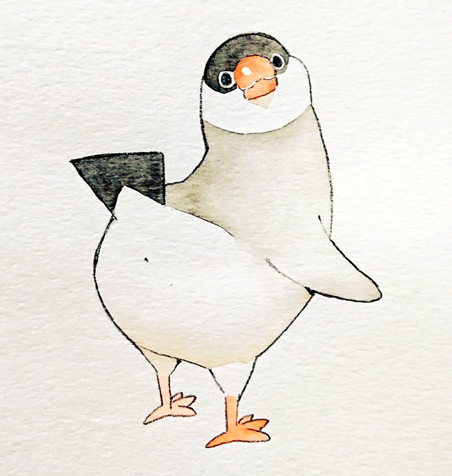 「ペンギン アナログ」のTwitter画像/イラスト(新着)｜3ページ目