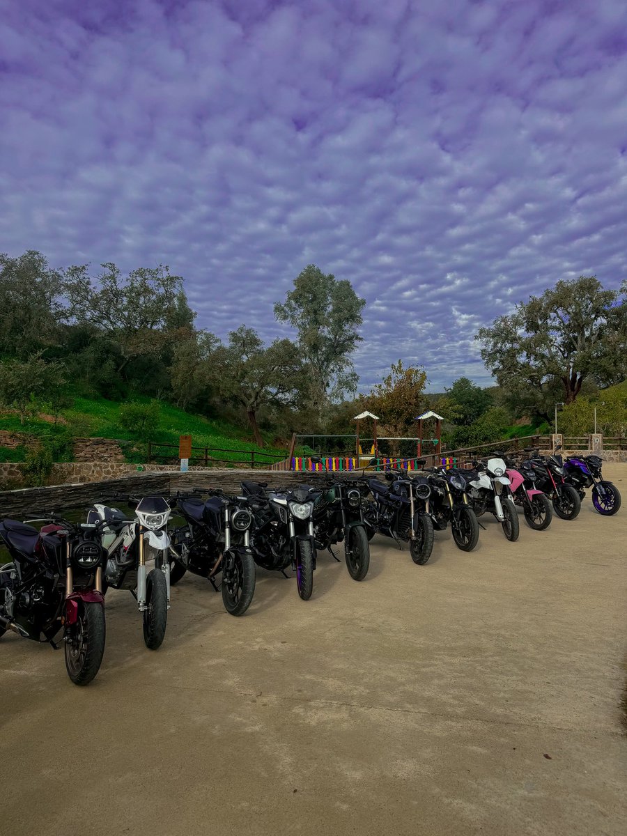 Kikoo 🇵🇹 / Selling My Main Siege Acc 📥 (@irxnnz) on Twitter photo 